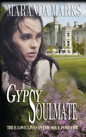 Cover of the book Gypsy Soulmate by Brian Cook