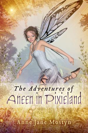 Cover of the book The Adventures of Aneen in Pixieland by Patrick Gabriel Lumbroso