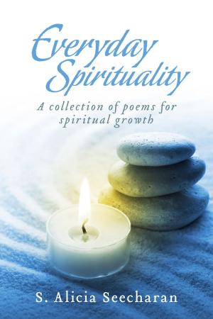 Cover of the book Everyday Spirituality by C.C. Wilkinson