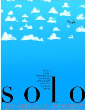 Cover of the book Solo by Bree Vreedenburgh