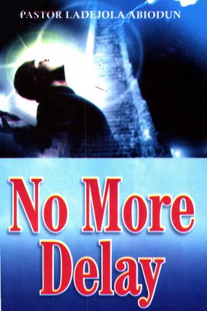 bigCover of the book No More Delay by 