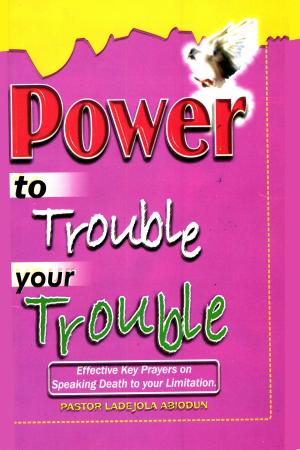 bigCover of the book Power To Trouble Your Trouble by 