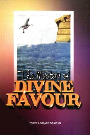 Book cover of The Mystery of Divine Favour