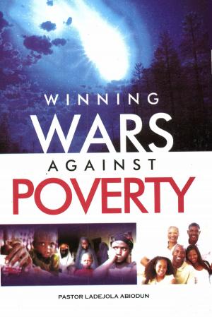 bigCover of the book Winning Wars Against Poverty by 