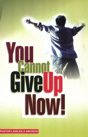Cover of the book You Cannot Give Up Now by D.B. McCrea