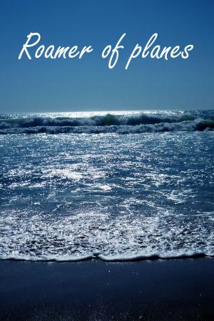 Cover of the book Roamer of Planes by Howard Pierce