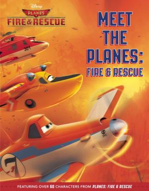 Cover of the book Meet the Planes: Fire & Rescue by Sheila Sweeny Higginson