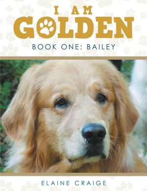 Cover of the book I Am Golden by John Olsen