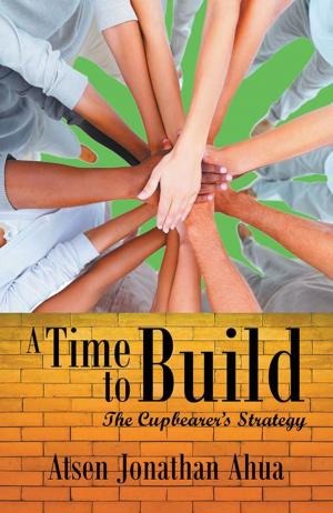 bigCover of the book A Time to Build by 