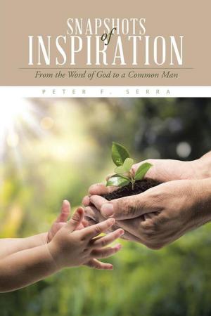 Cover of the book Snapshots of Inspiration by Richard C. Haddocks Jr.