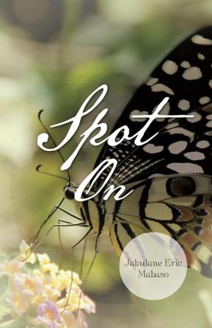 Cover of the book Spot On by Fay Davidson