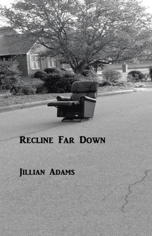 Book cover of Recline Far Down