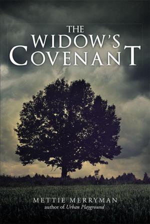 Cover of the book The Widow’S Covenant by R. J. Bragg