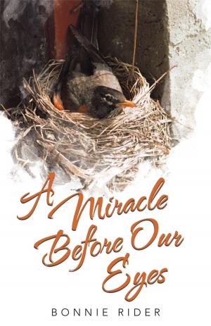 Cover of the book A Miracle Before Our Eyes by Henry B. Waiters ThB ThM ThD
