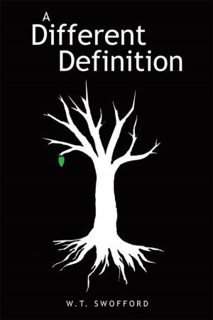 Cover of the book A Different Definition by Cody Cook