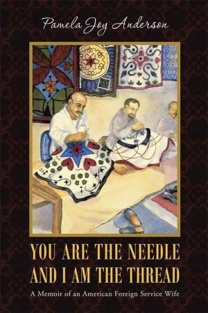 bigCover of the book You Are the Needle and I Am the Thread by 