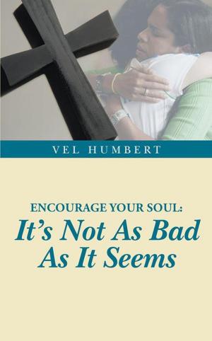 Cover of the book Encourage Your Soul: It's Not as Bad as It Seems by Ian J. Drucker