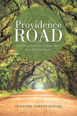 Cover of the book Providence Road by David W. Rece