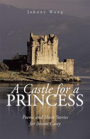 Cover of the book A Castle for a Princess by Donald A. Bogle