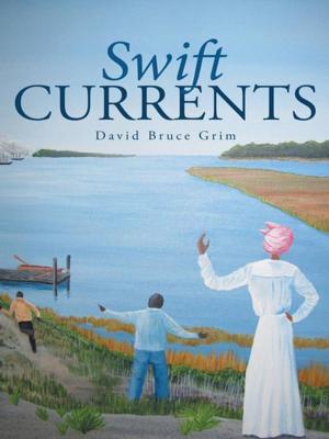 Cover of the book Swift Currents by ShTruth Poetry