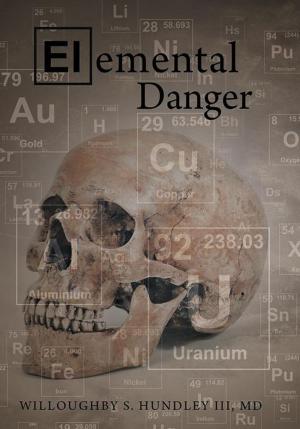 Cover of the book Elemental Danger by Katt Clouatre