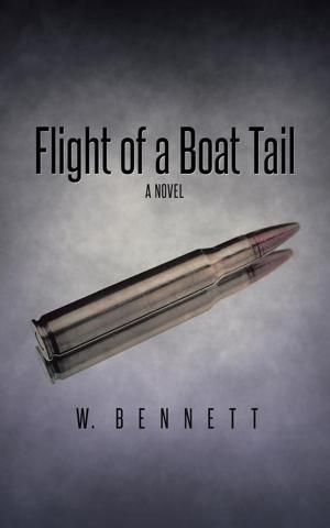 Book cover of Flight of a Boat Tail