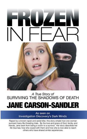 Cover of the book Frozen in Fear by Iris May Graham