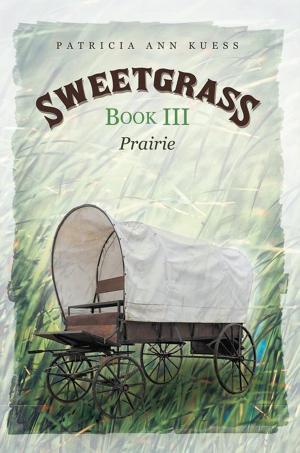 Cover of the book Sweetgrass: Book Iii by Abraham Steele