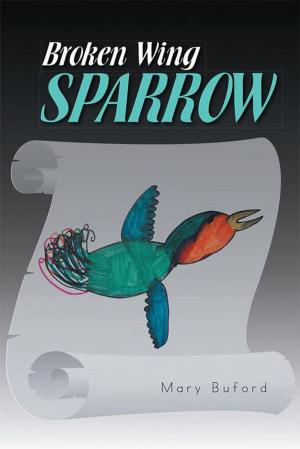 Cover of the book Broken Wing Sparrow by Sheila Clarke