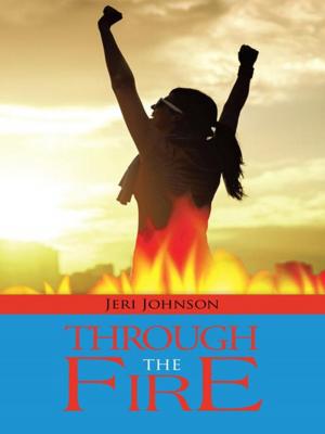 Cover of the book Through the Fire by Donald Junkins