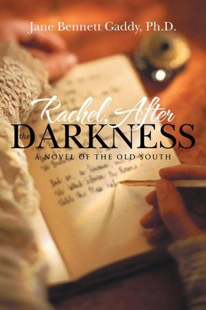 Book cover of Rachel, After the Darkness