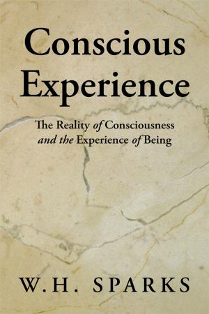Cover of the book Conscious Experience by John Britt