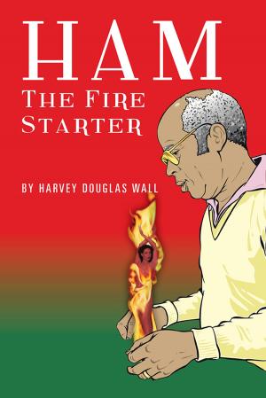 Cover of the book Ham the Fire Starter by Rufus Franklin Stephenson