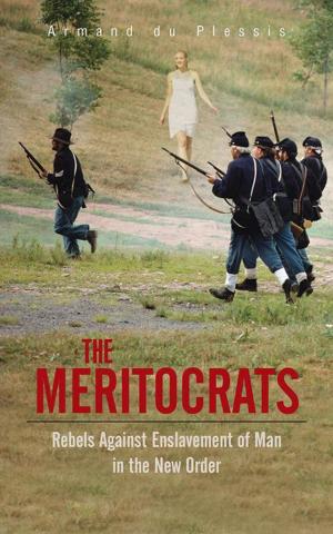 Cover of the book The Meritocrats by B. Park-Dixon