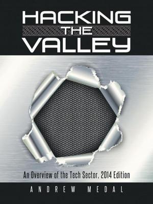 Cover of the book Hacking the Valley by Eric Elfmar, Scott Griffiths