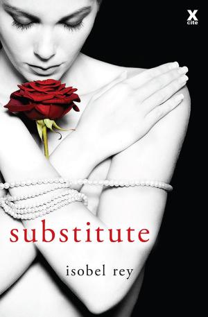 Cover of the book Substitute by Julie Ann Walker