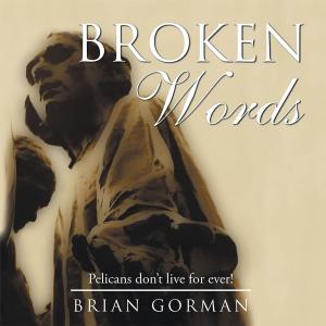 Cover of the book Broken Words by Cherie Von Goth