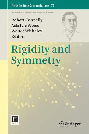 Cover of the book Rigidity and Symmetry by Paul Vrbik, Jan Vrbik