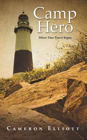 Cover of the book Camp Hero by April D. Williams