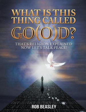 Cover of the book What Is This Thing Called Go(O)D? by David Lightsey