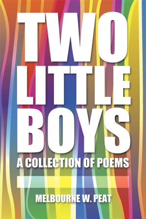 Book cover of Two Little Boys