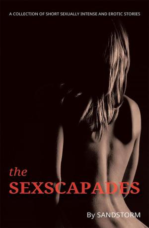 Cover of the book The Sexscapades by R. R. Pravin