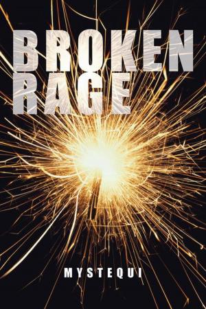Cover of the book Broken Rage by Debbie Alferio