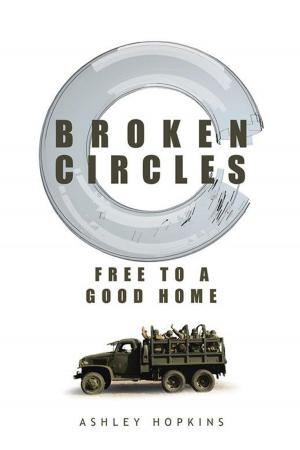 Cover of the book Broken Circles by Sherry Scott