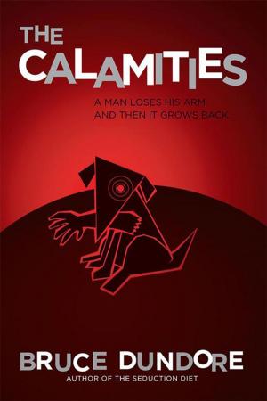 bigCover of the book The Calamities by 