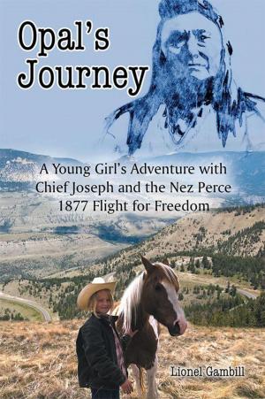 Cover of the book Opal's Journey by Paulina Cole-Hardy