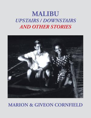 Book cover of Malibu