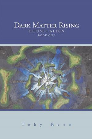 Book cover of Dark Matter Rising