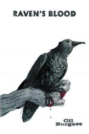 bigCover of the book Raven's Blood by 