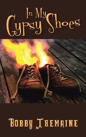 Cover of the book In My Gypsy Shoes by Phielis Smith Bailey